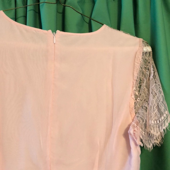 ModCloth Pink lace and pleats dress - Picture 3 of 9